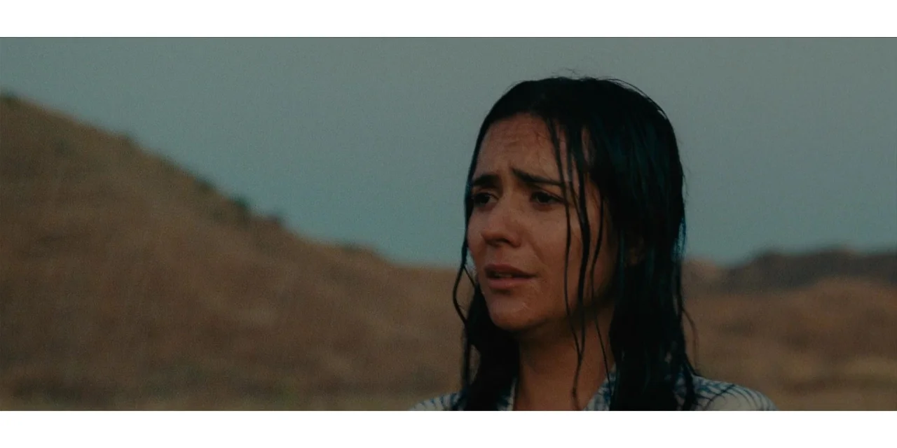 「自译电影推荐」威尼斯电影节入围影片