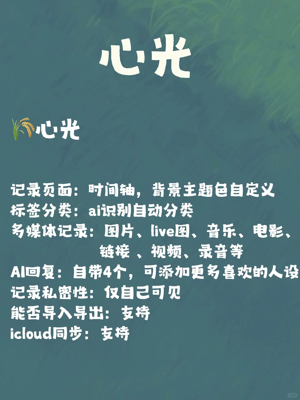 替大家试过了|6款记录APP