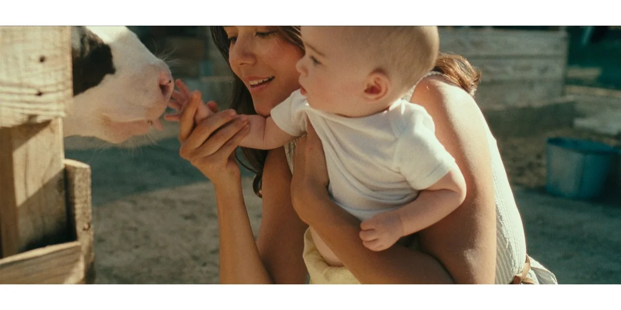 「自译电影推荐」威尼斯电影节入围影片