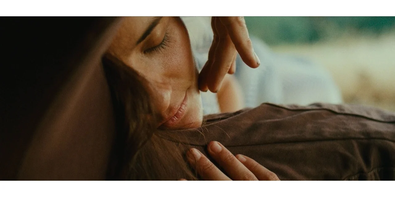 「自译电影推荐」威尼斯电影节入围影片