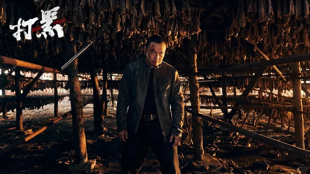 《打黑》|我为啥不建议这个系列继续拍下去