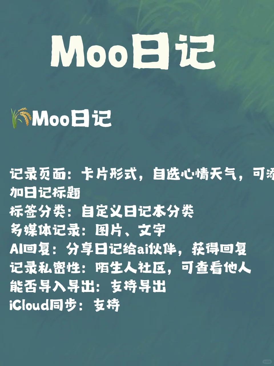 替大家试过了|6款记录APP