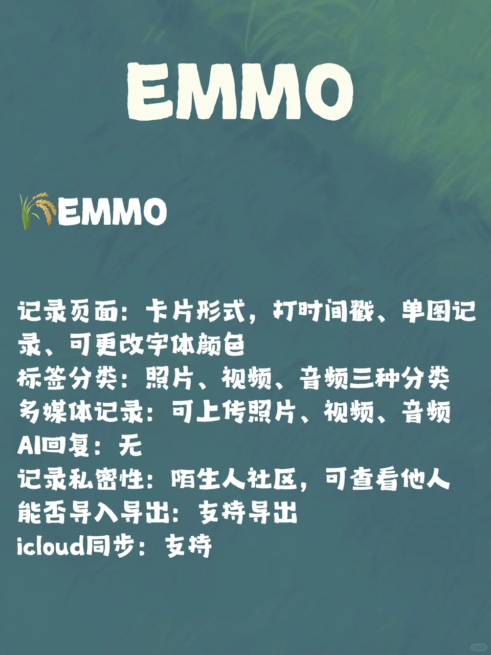 替大家试过了|6款记录APP