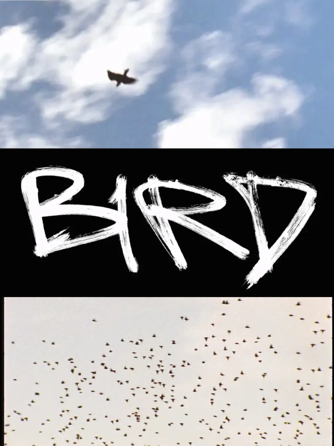 📽️俺发誓❗️这是近期看过👏最好的电影❗️