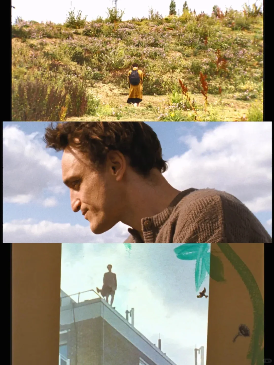 📽️俺发誓❗️这是近期看过👏最好的电影❗️