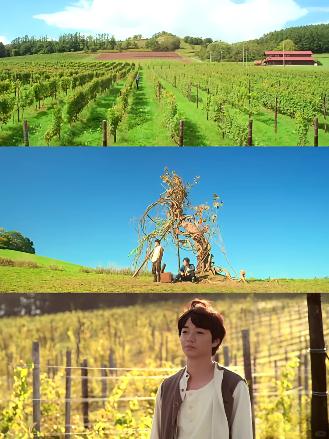 怎么会有这么好看的电影😭太治愈了🌈