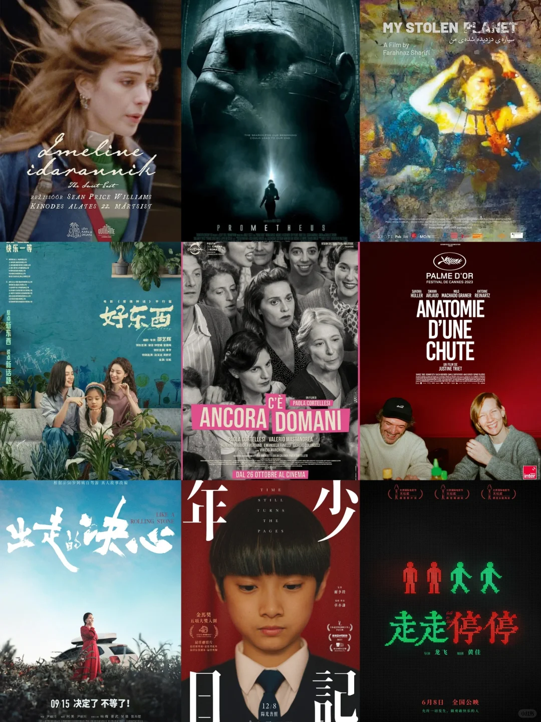 2024年我最喜欢的10部电影！