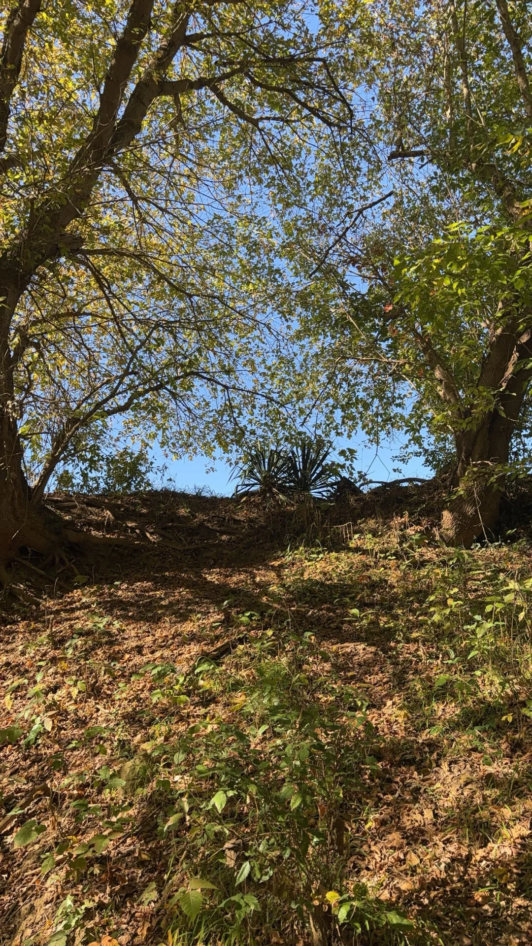 Pics of 2024. First post on this app