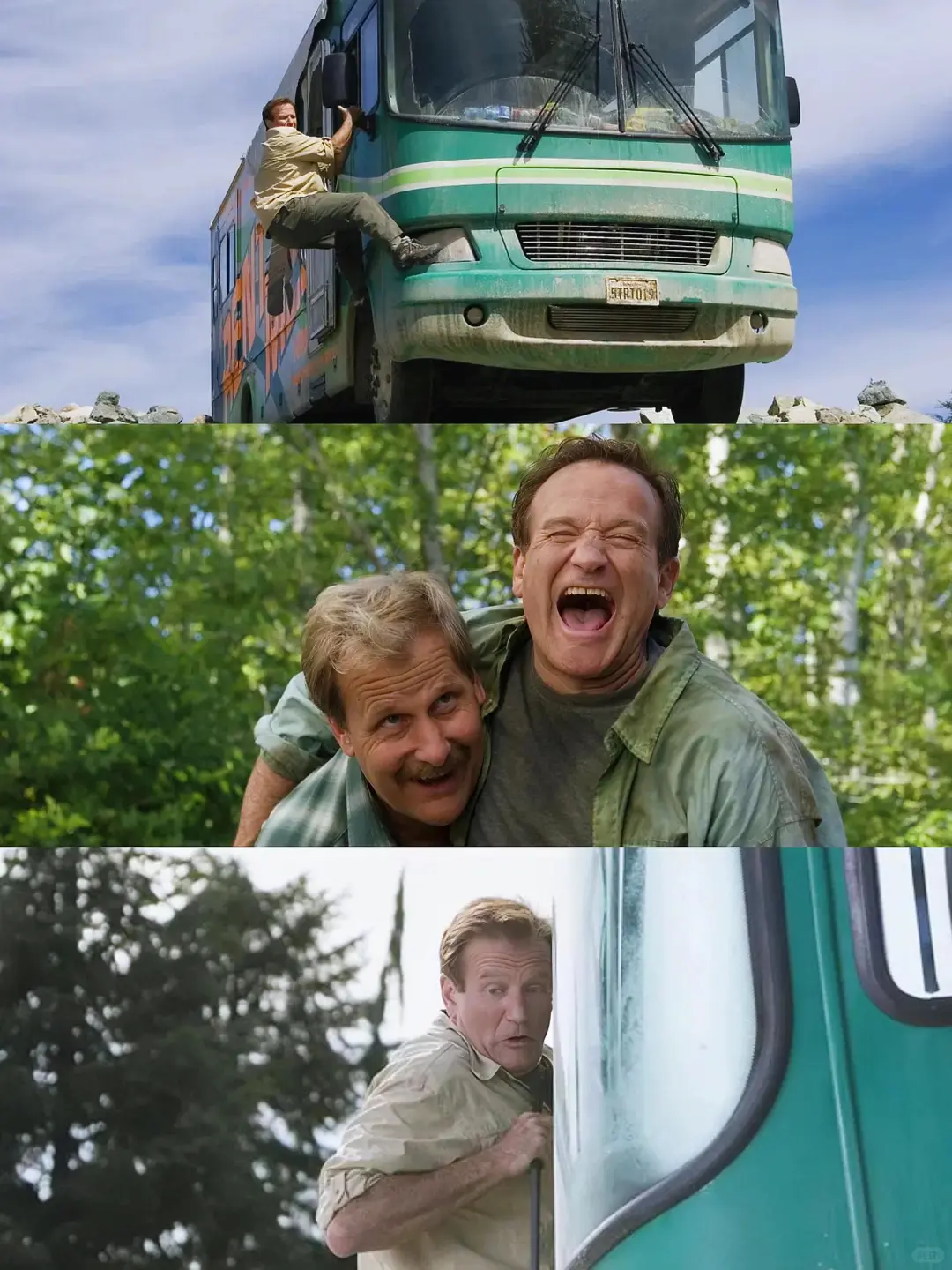 笑到捶地❗心情不好就看这部宝藏电影