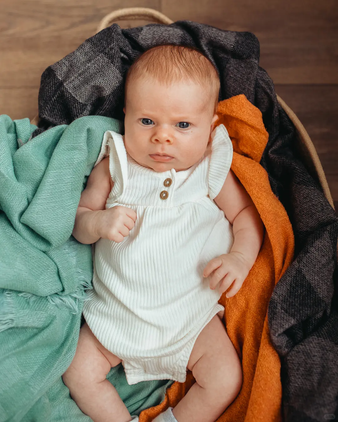 这是我新的最爱APP吗？可能是！