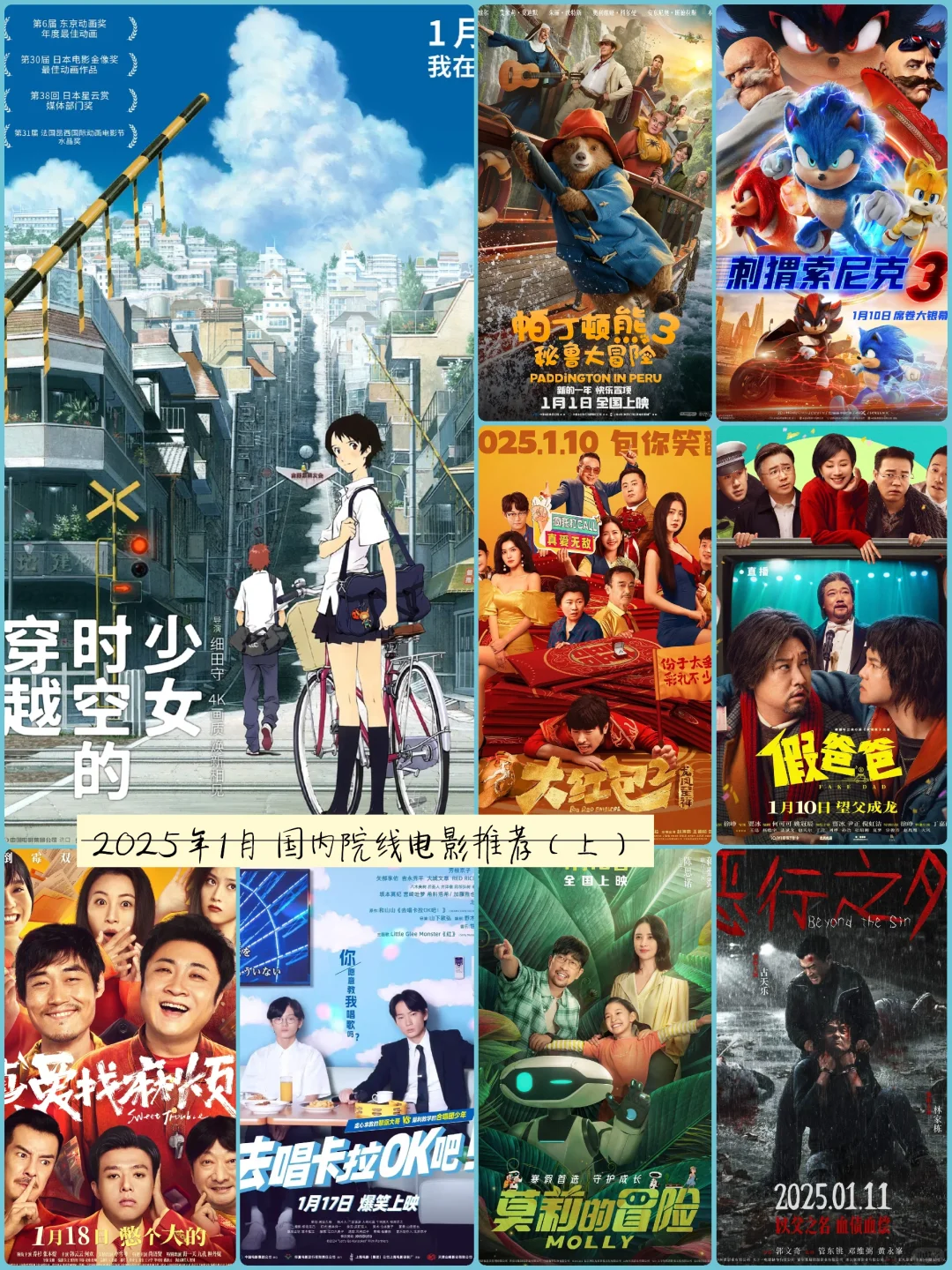 2025年1月 国内院线电影推荐（上）