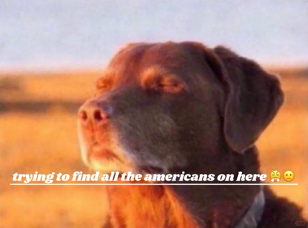 guys idk how to use this app but ima try