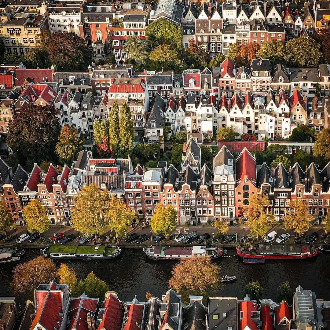 從今以後🇳🇱 🧀聖誕荷蘭上映🤩