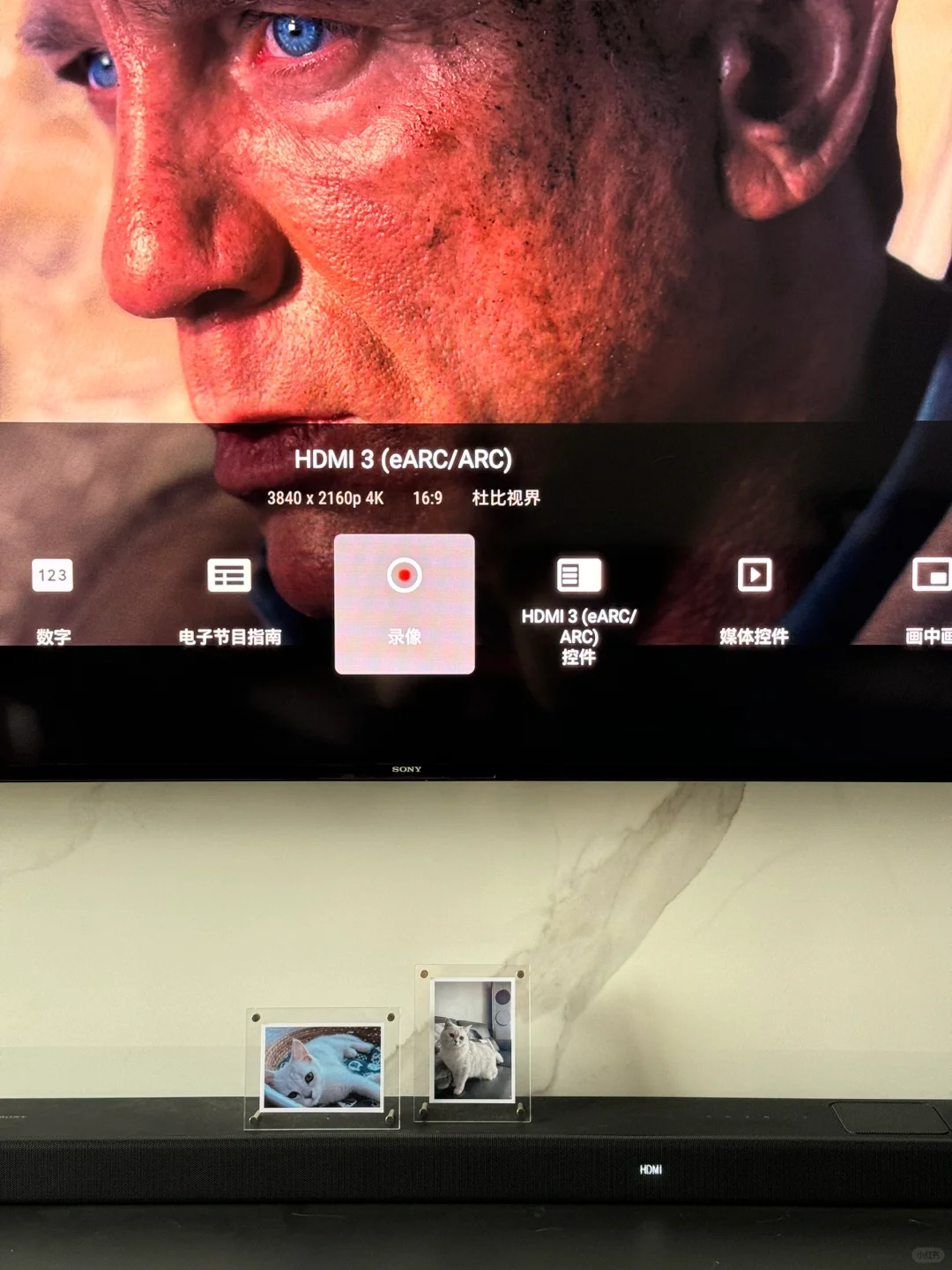 4K蓝光电影丨点亮杜比视界和杜比全景声 🎞