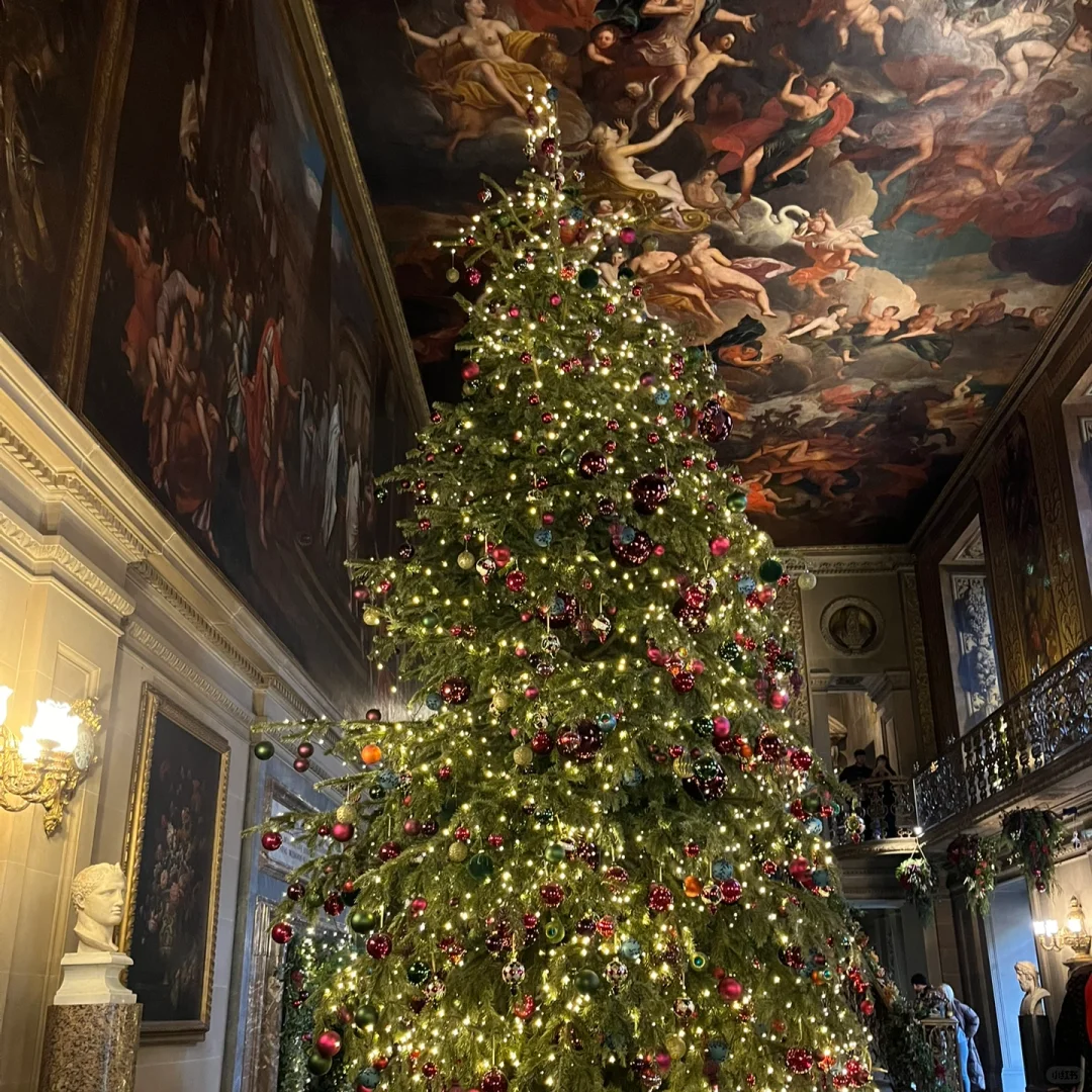 photo dump for the fans. 😵‍💫