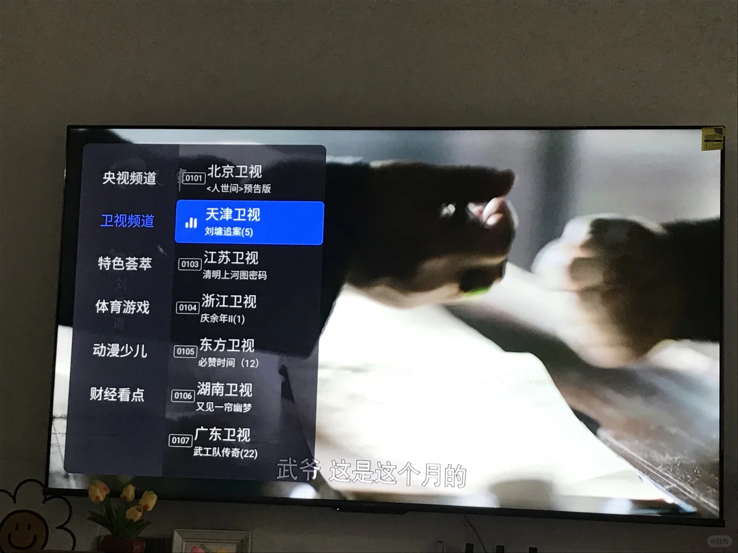 终于可以看电视直播了！