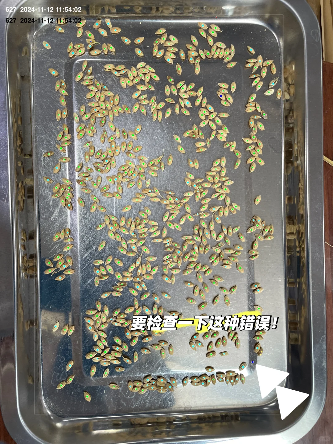 5秒得到穗粒数的小妙招