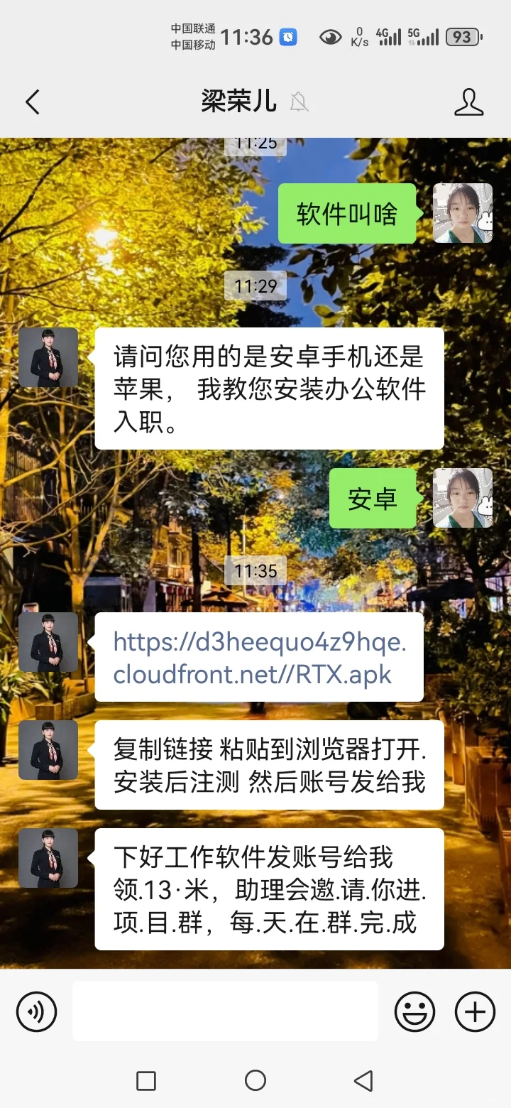 这个RTX软件是骗钱的不？