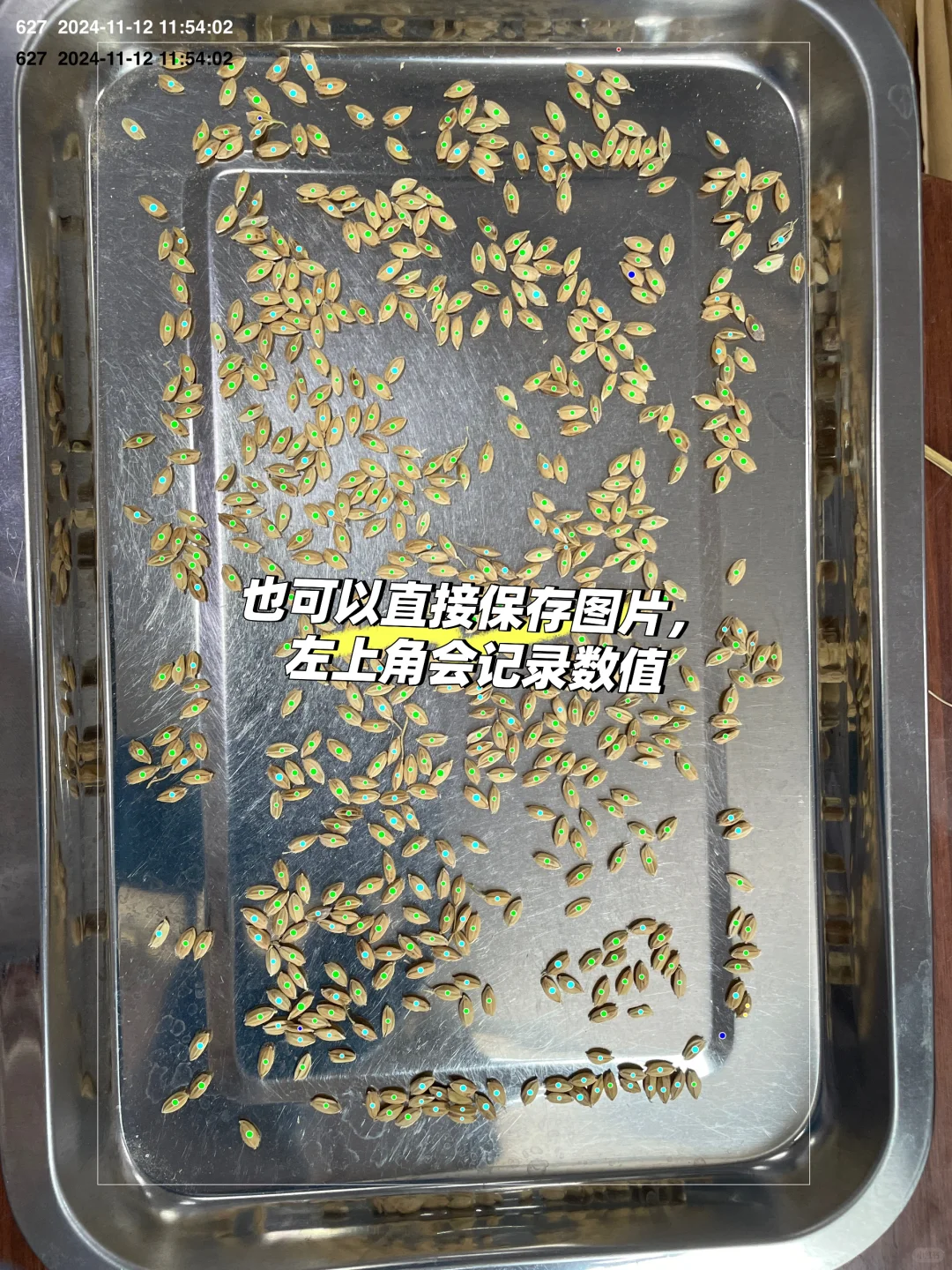 5秒得到穗粒数的小妙招