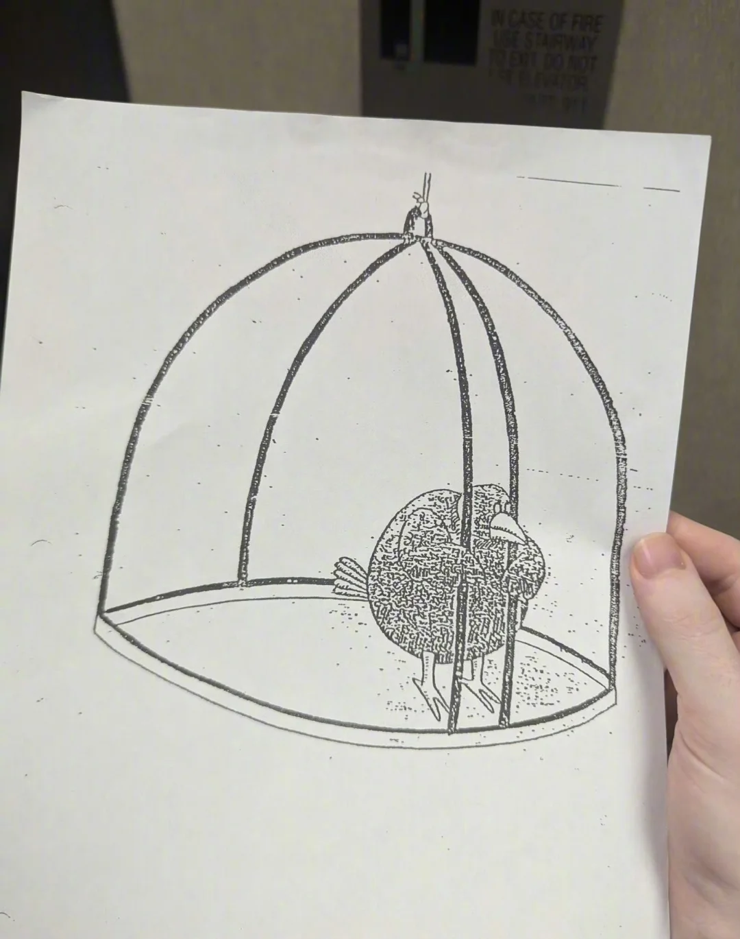 正发愁怎么用国外软件呢！