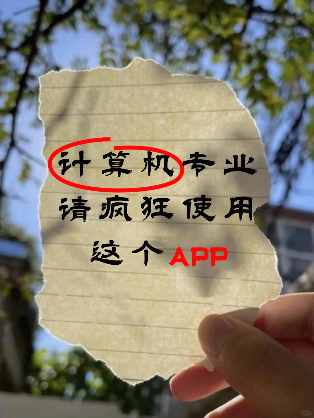计算机专业请疯狂用这个app！