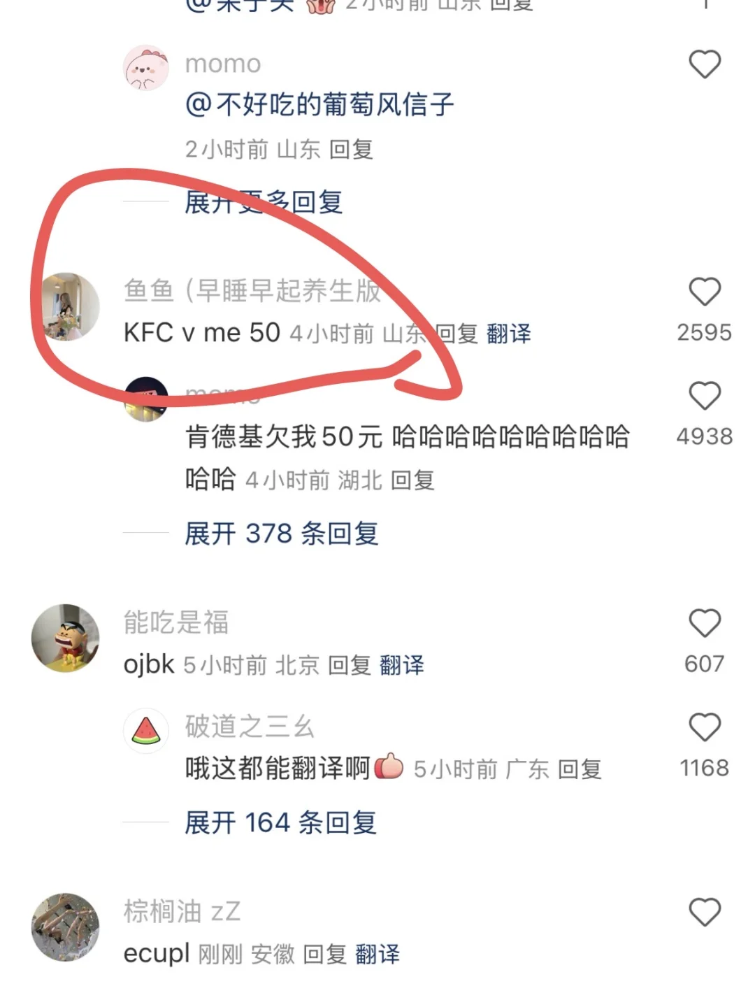 小红书最强翻译软件…………