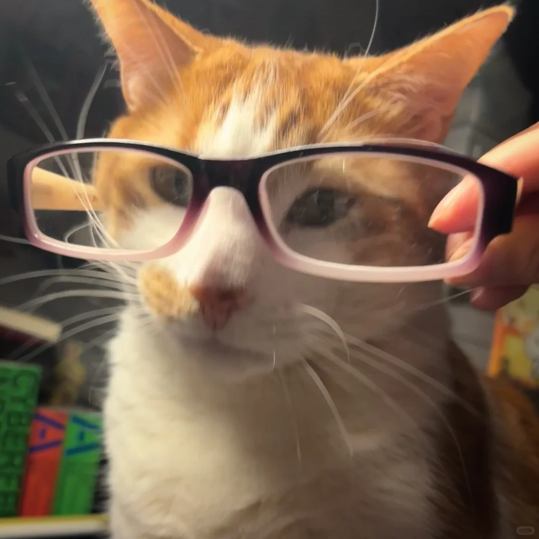 希望这里只有sis没有bro