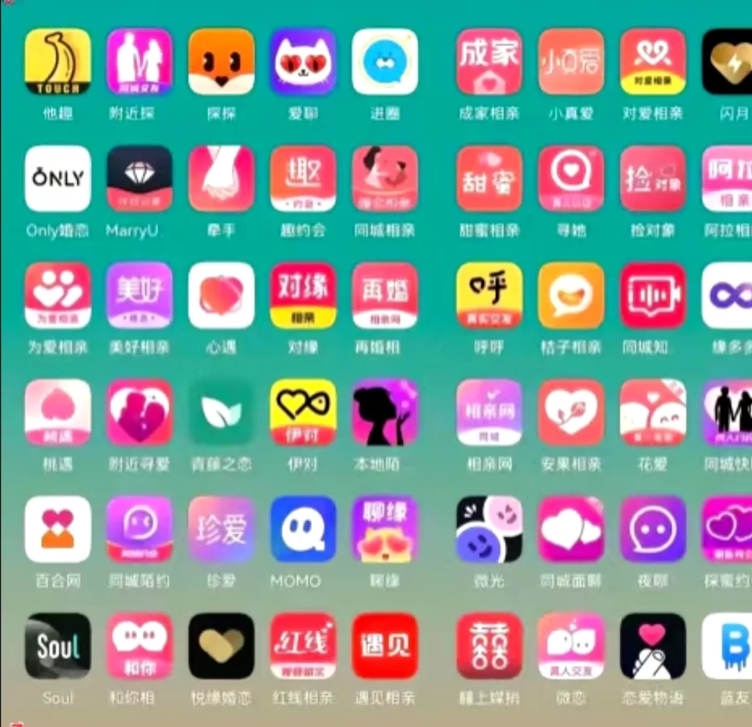 哪个最好！聊天赚米软件推荐