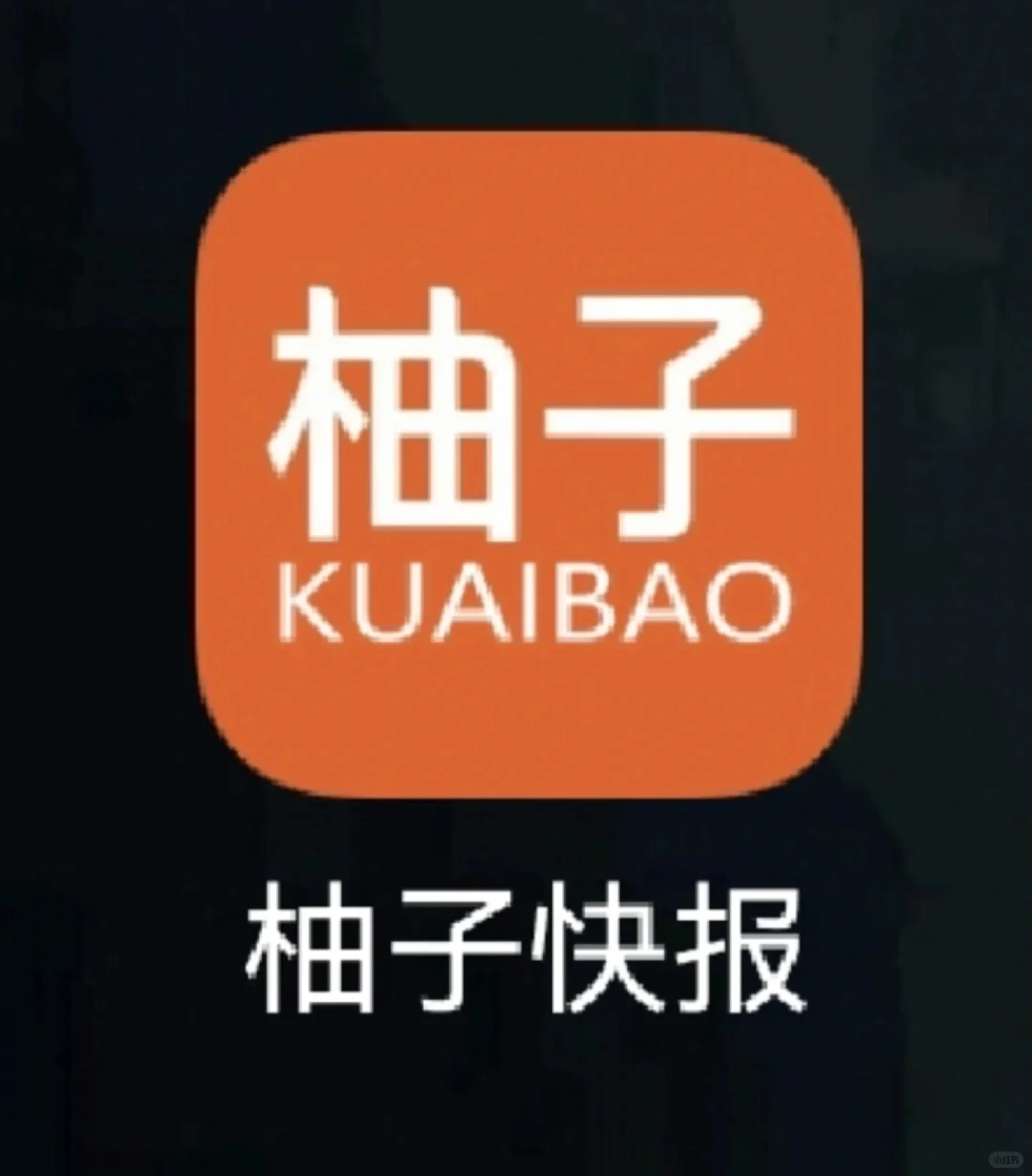 避雷！柚子快报