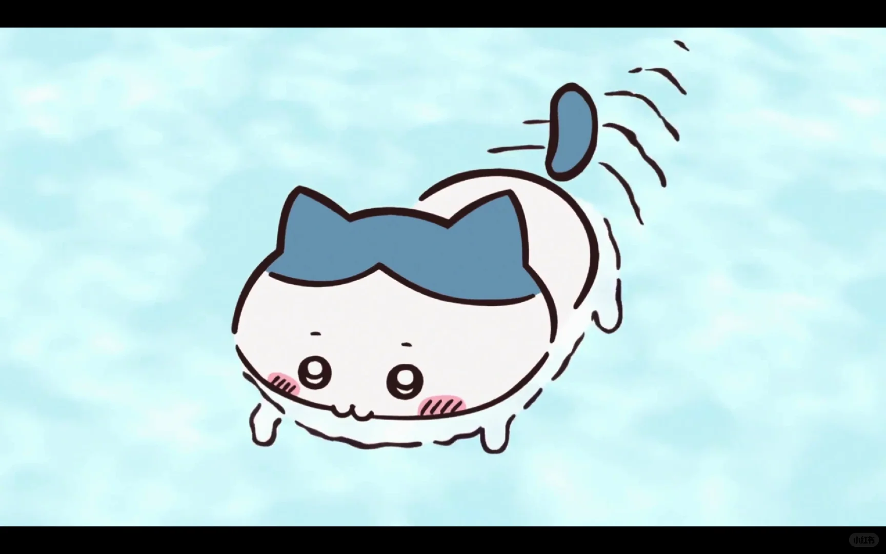 o站我不能没有你，，，