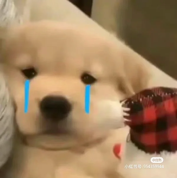 为什么电脑下载软件不能像手机一样简单?