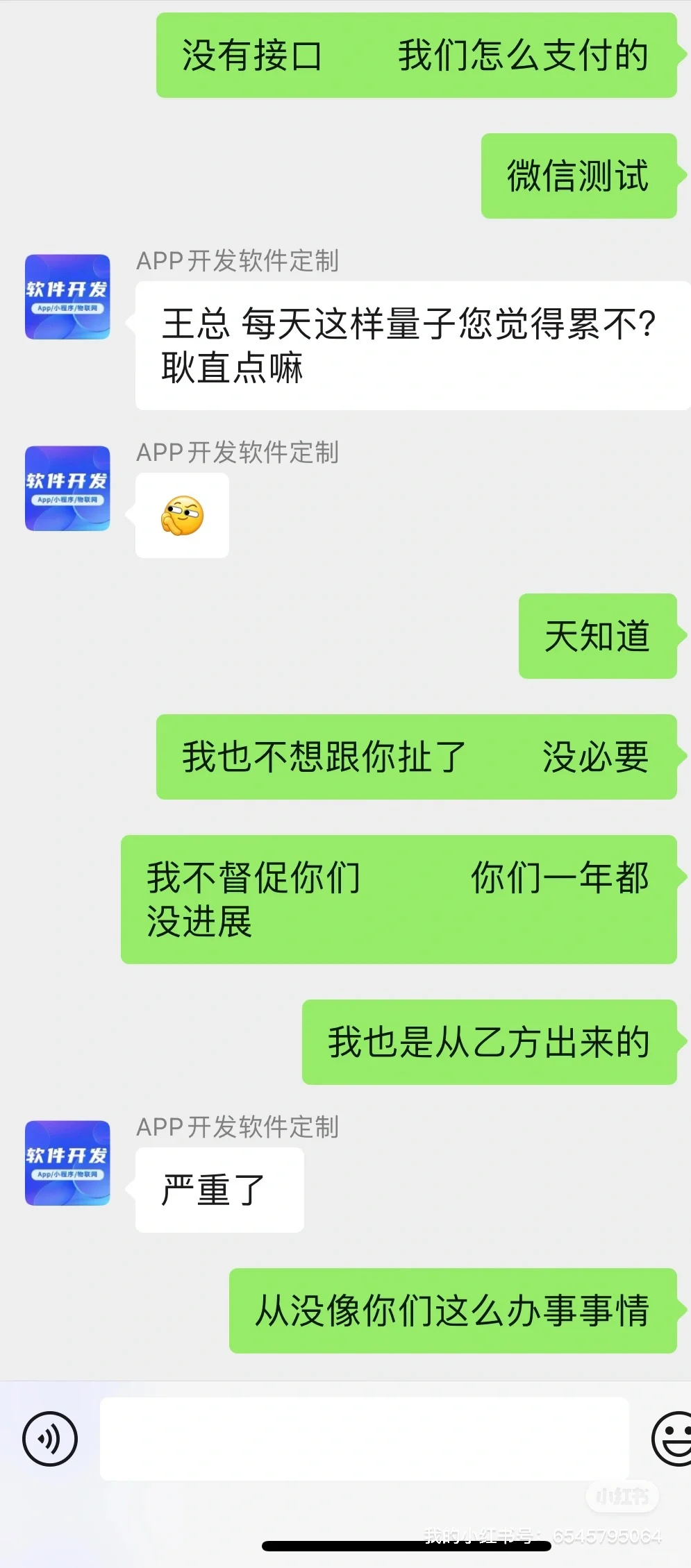 软件开发被骗