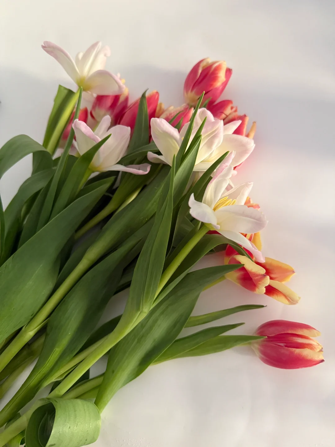 快来点点测测属于你的专属好运，赢取机票吧