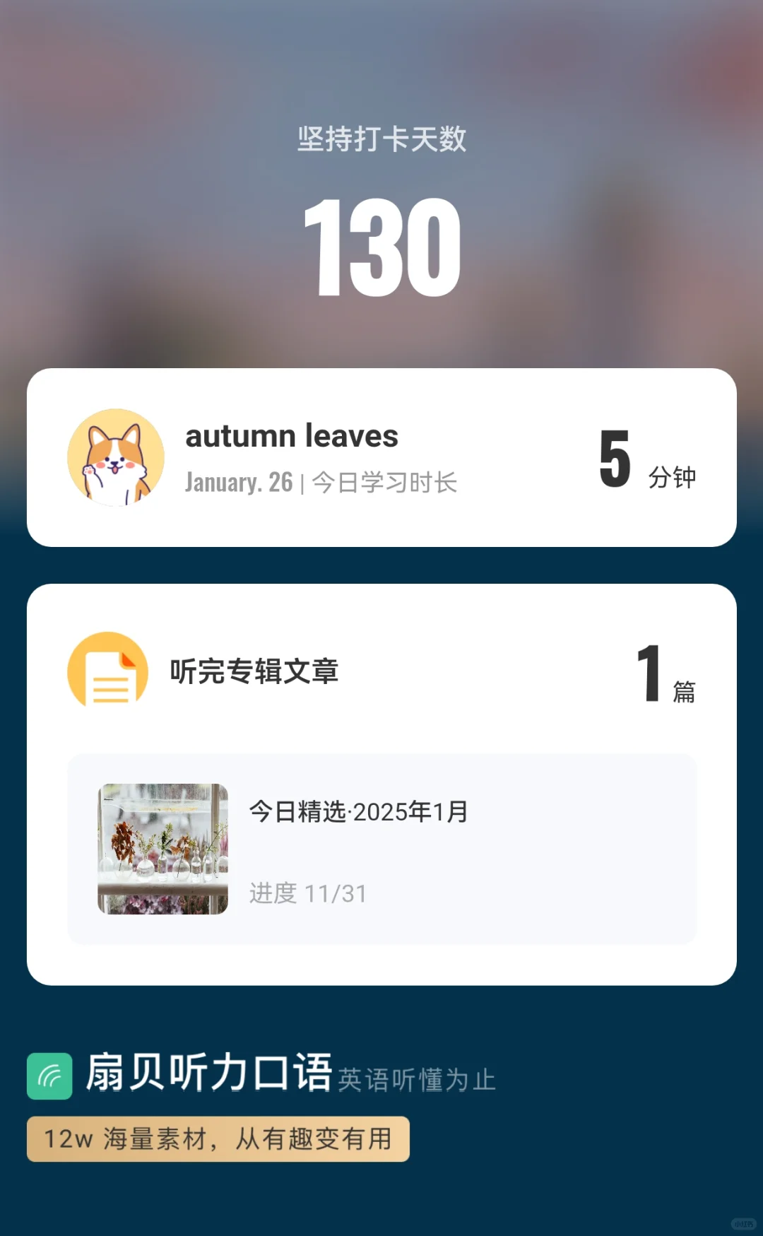 分享我自己在用的听力软件