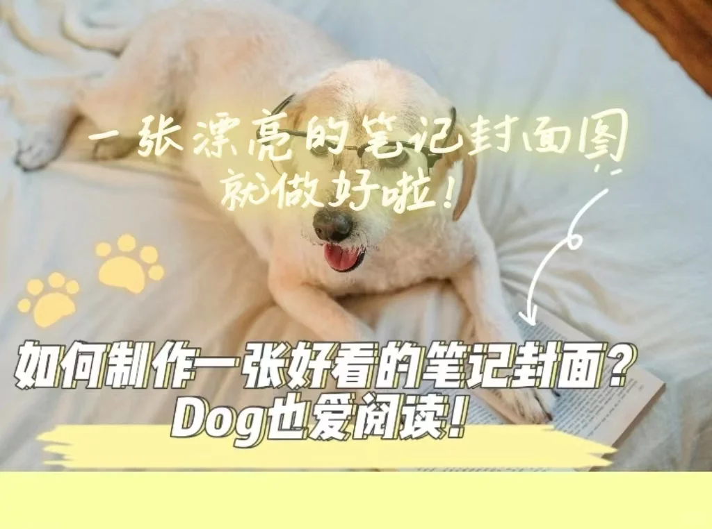 3分钟教你制作醒图APP封面，提升笔记点击率