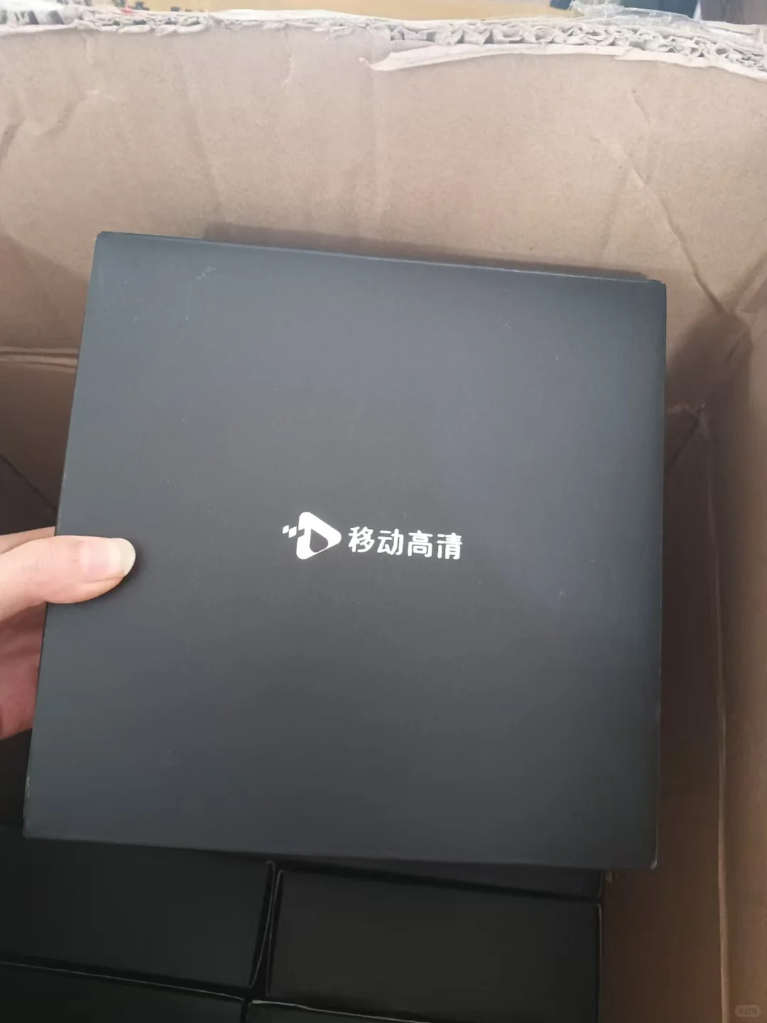 野草助手最新口令分享和高性价比机顶盒更搭