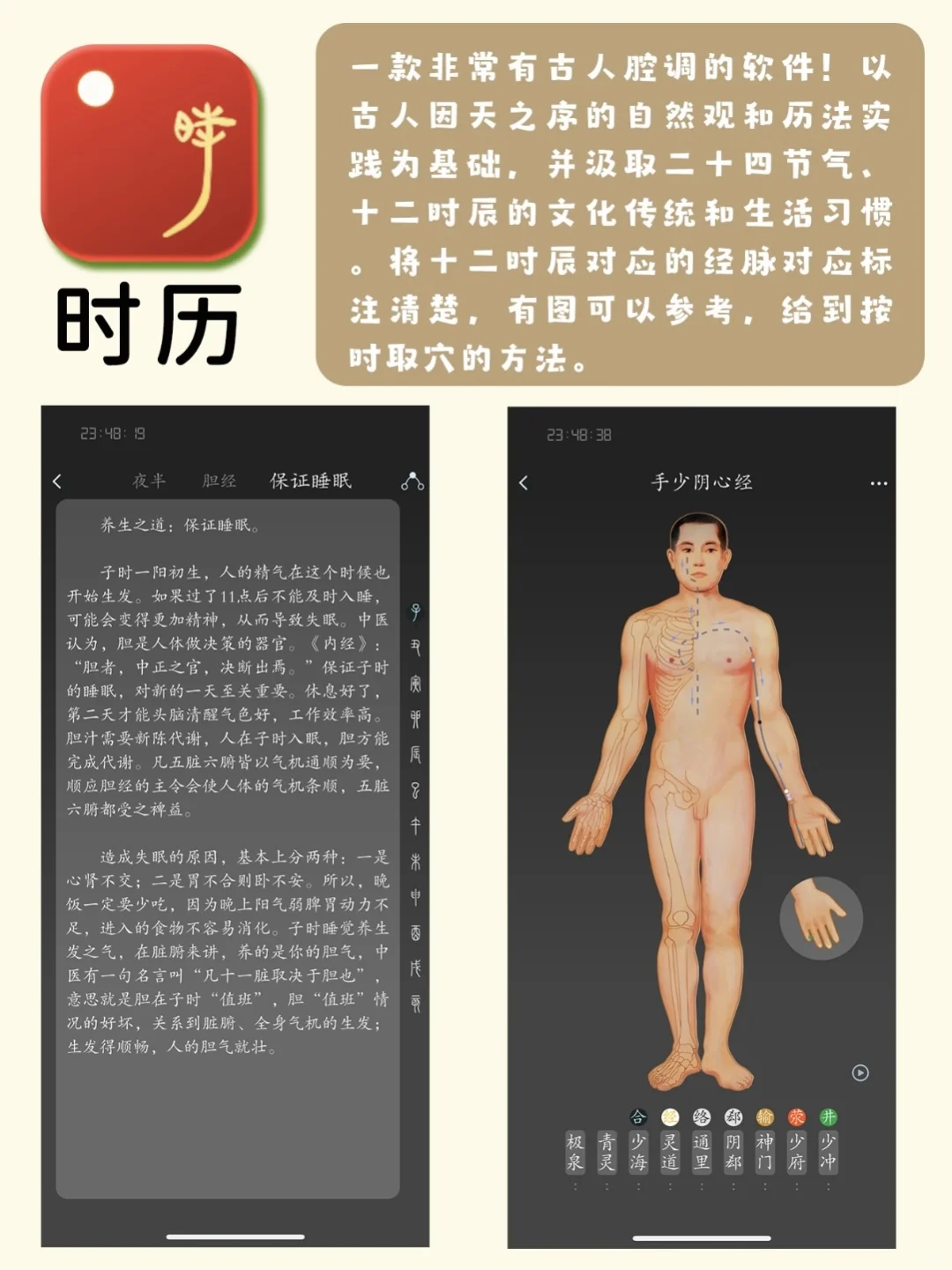 有人需要养生APP吗