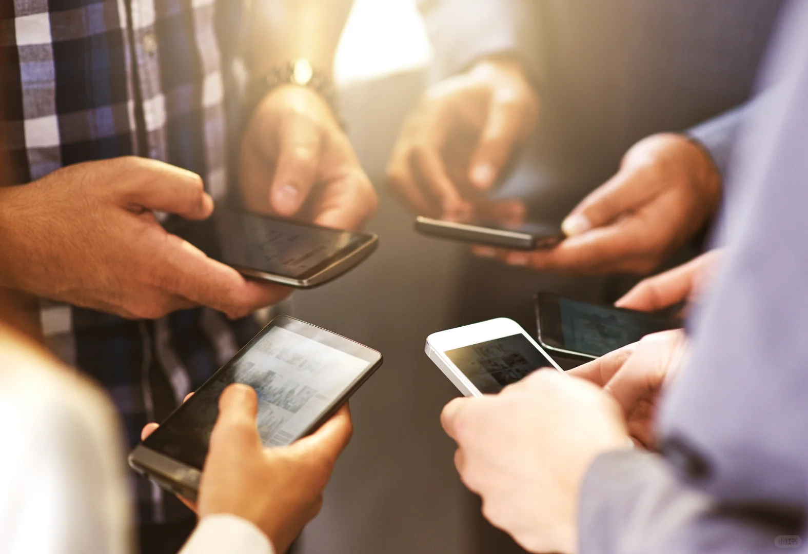 ✅手机必备app-南美游