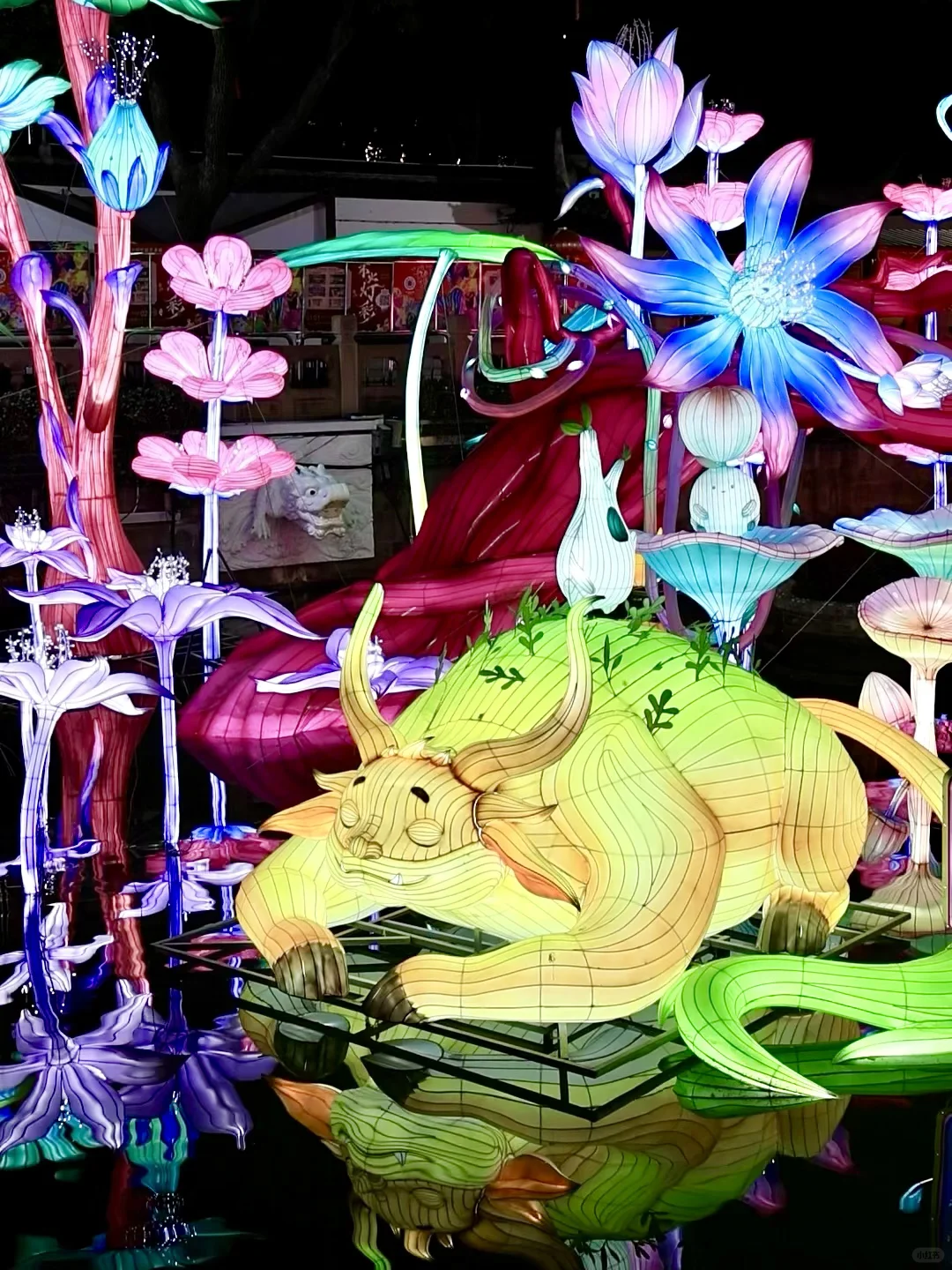 Hi Guys！Welcome to Shanghai Yuyuan CNY！