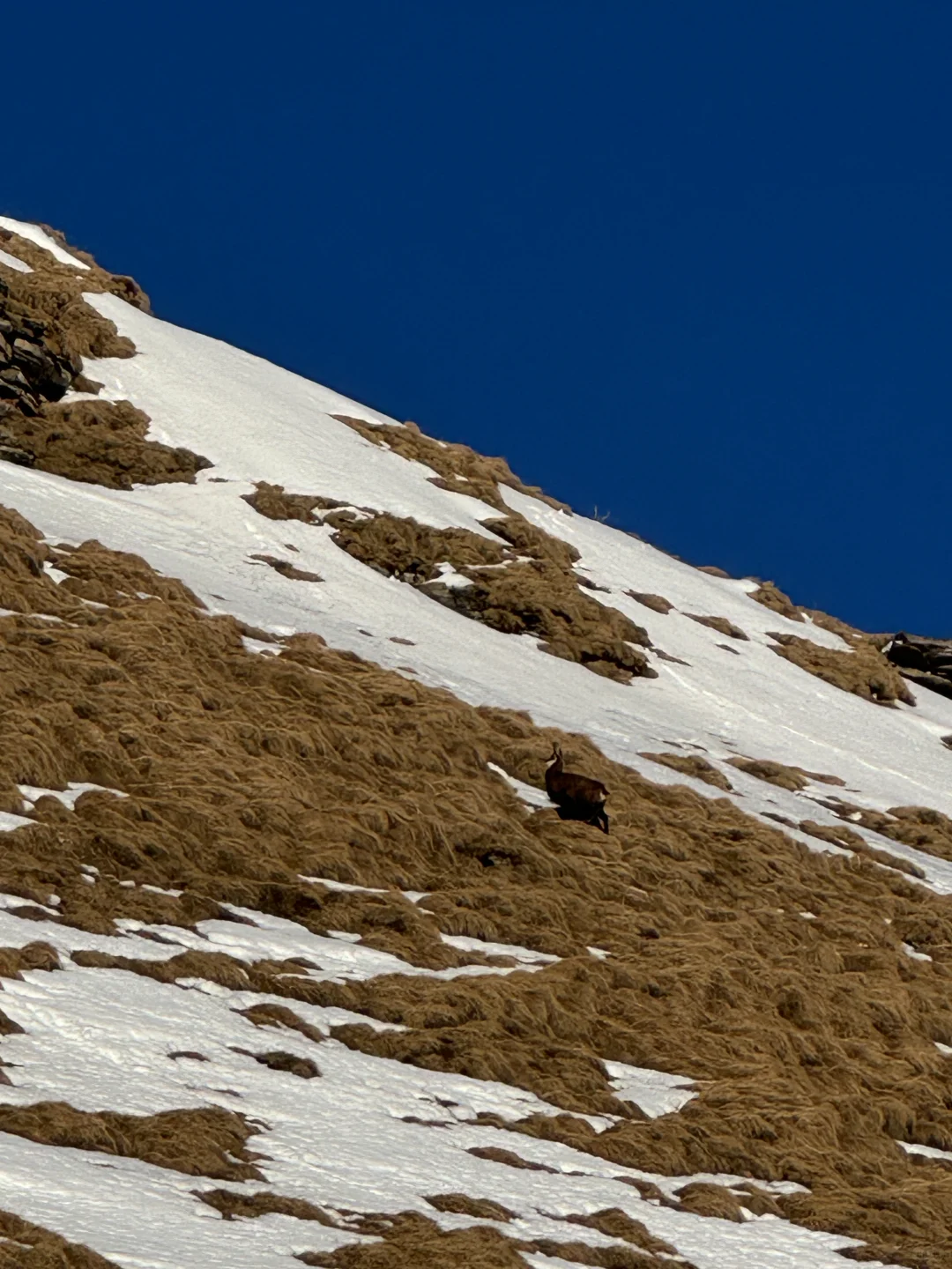 Hello from First Mountain👋🧡