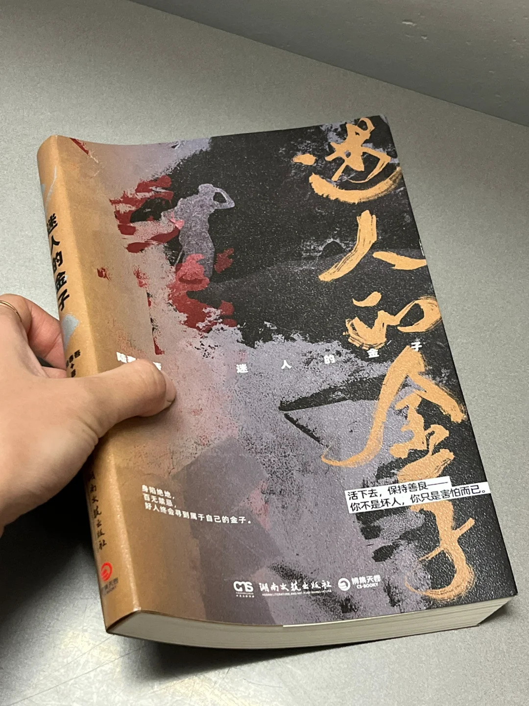 颅内高潮‼️超顶悬疑小说分享