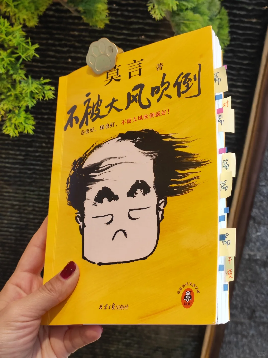 春节治愈书单：强烈建议大家都去读这本书！