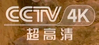 IPTV机顶盒4K频道很「模糊」的问题