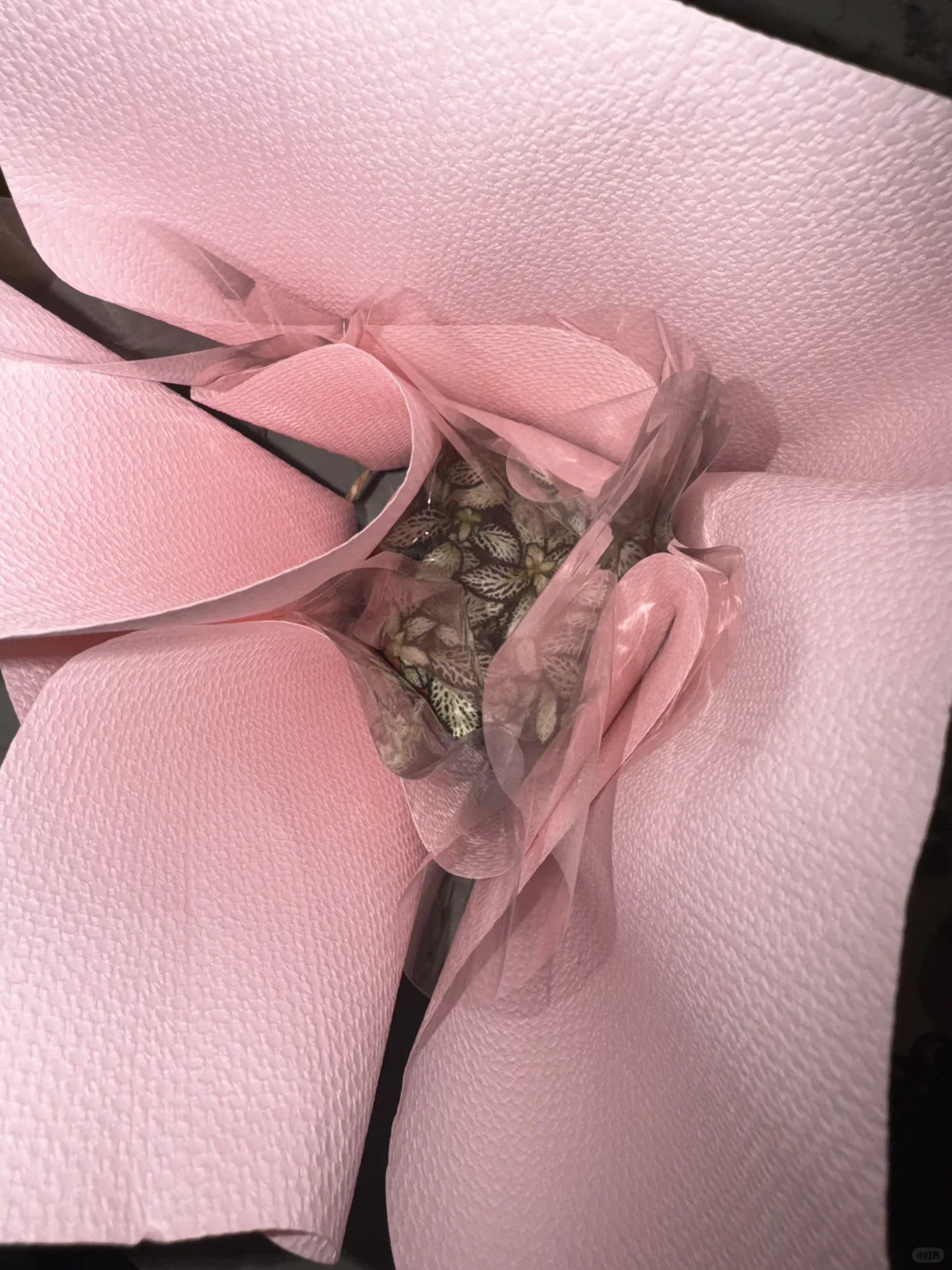 友宝女！！哎嘿