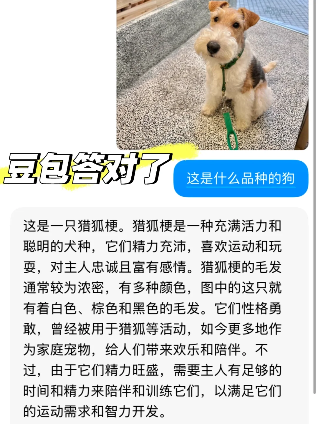 体验了豆包、deepseek、Kimi，我选豆包