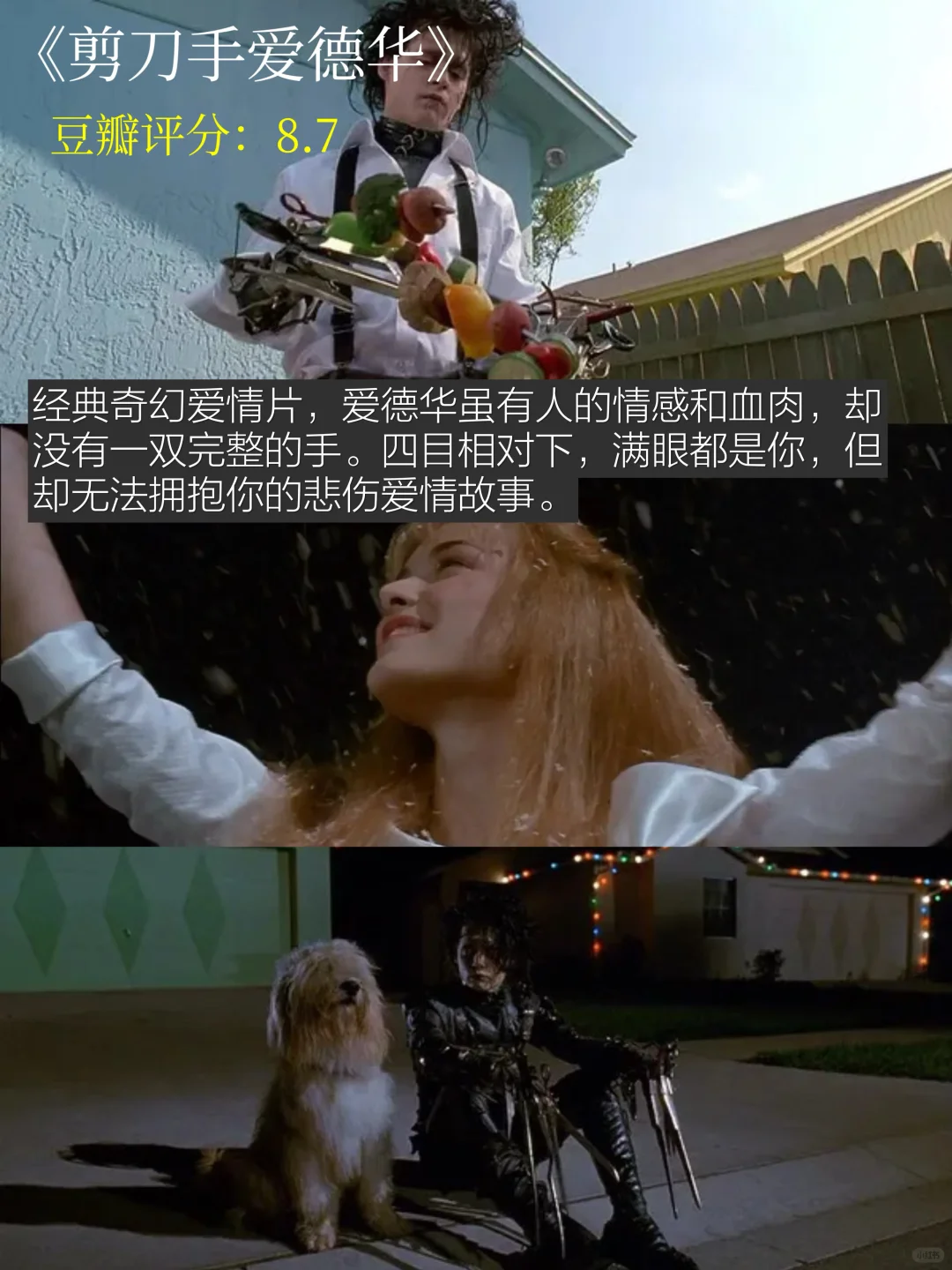 豆瓣高分|过年宅家bi看的十部经典电影