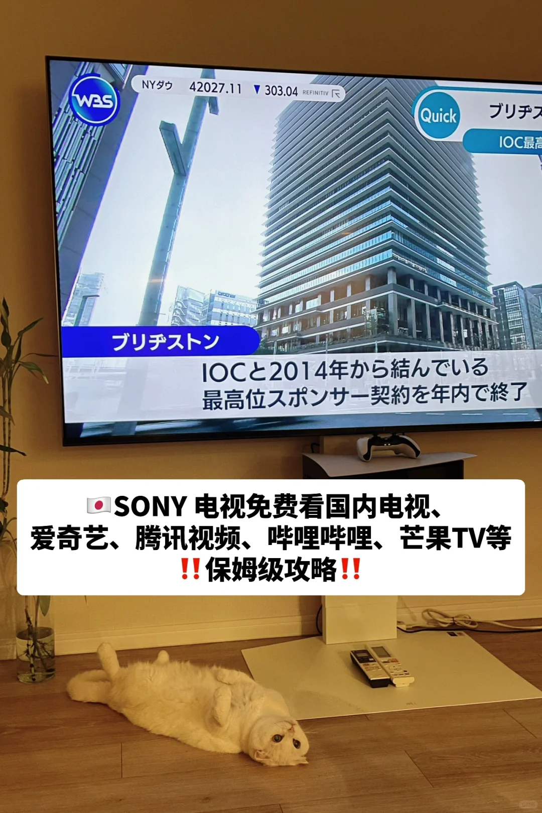 紧急‼️日本电视🆓看国内电视&腾讯爱奇艺…