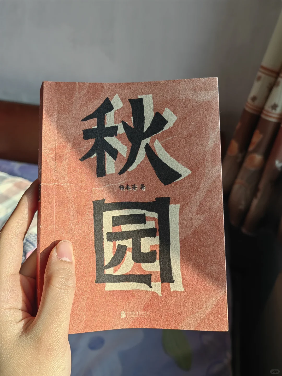 看看我姥在看啥