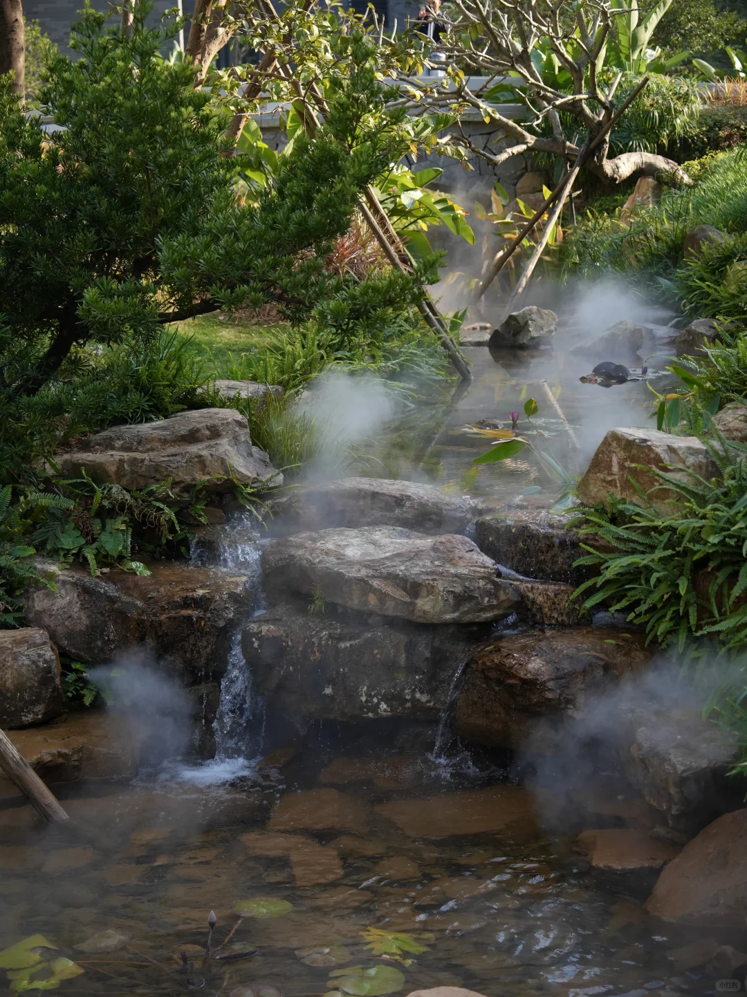 春节出行｜度假爱好者私藏！深圳小众宝藏公寓