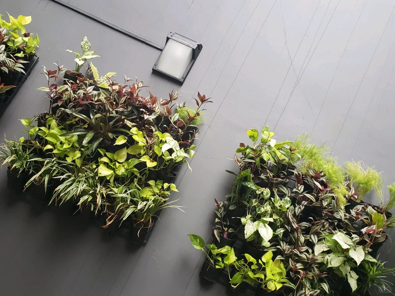 曼谷自由行，安卓grab下载攻略，省钱的APP